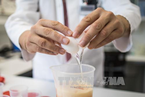 EC kêu gọi họp khẩn về bế bối trứng nhiễm thuốc trừ sâu ảnh 1